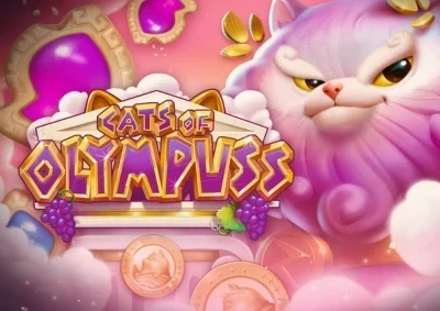 Cats of Olympuss