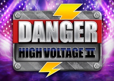 Danger High Voltage 2 Slot