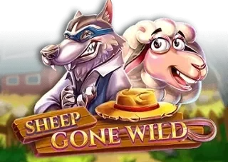 Sheep Gone Wild