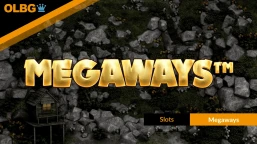 Best Megaways Slots Guide 2025