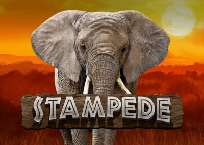 Stampede Slot