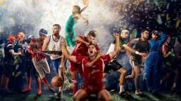 North America’s Favorite Franchises (NFL - NBA - MLB - NHL & by State)