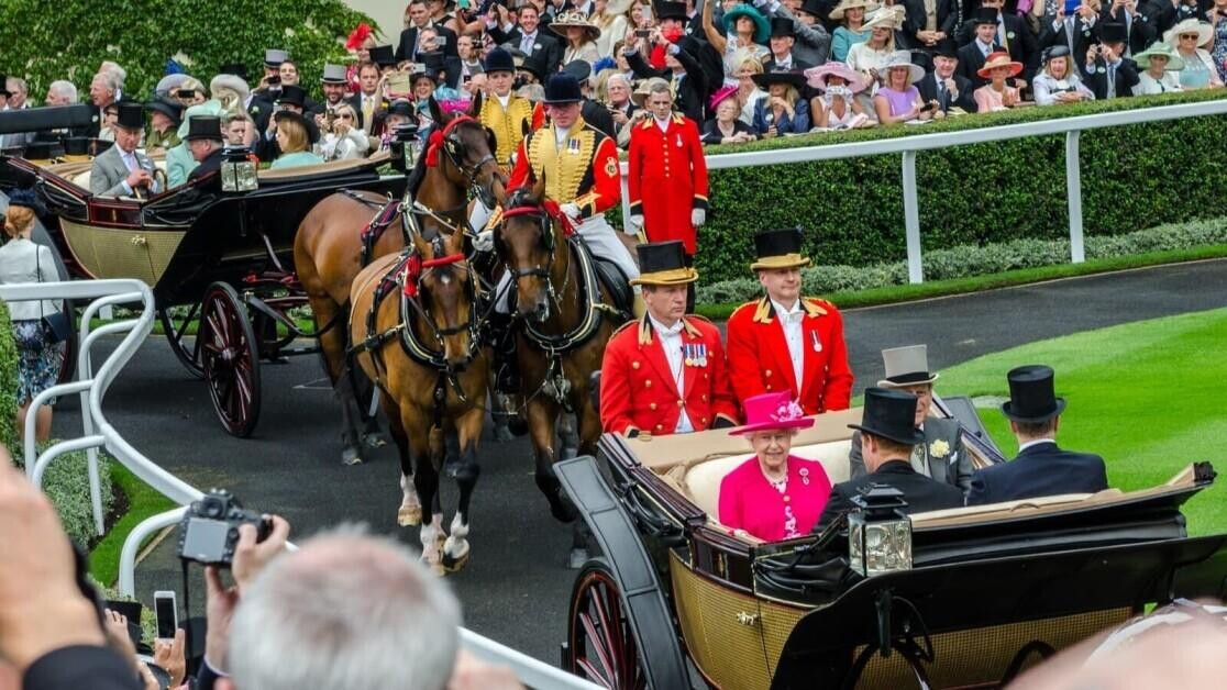 The Queen has earned £8.7m from horse racing winnings as her favourite hobby turns out to be a successful one too The Queen has earned £8.7m from horse racing winnings as her favourite hobby turns out to be a successful one too