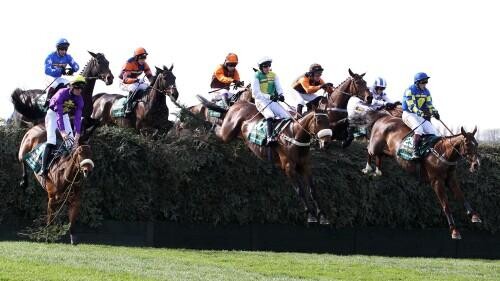 Do the best horses win Grade 1 Chases? - Let's have a look