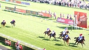 The Biggest Mug Bet in Racing?