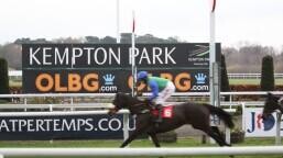 Lanzarote Hurdle Preview, Tips, Runners & Trends