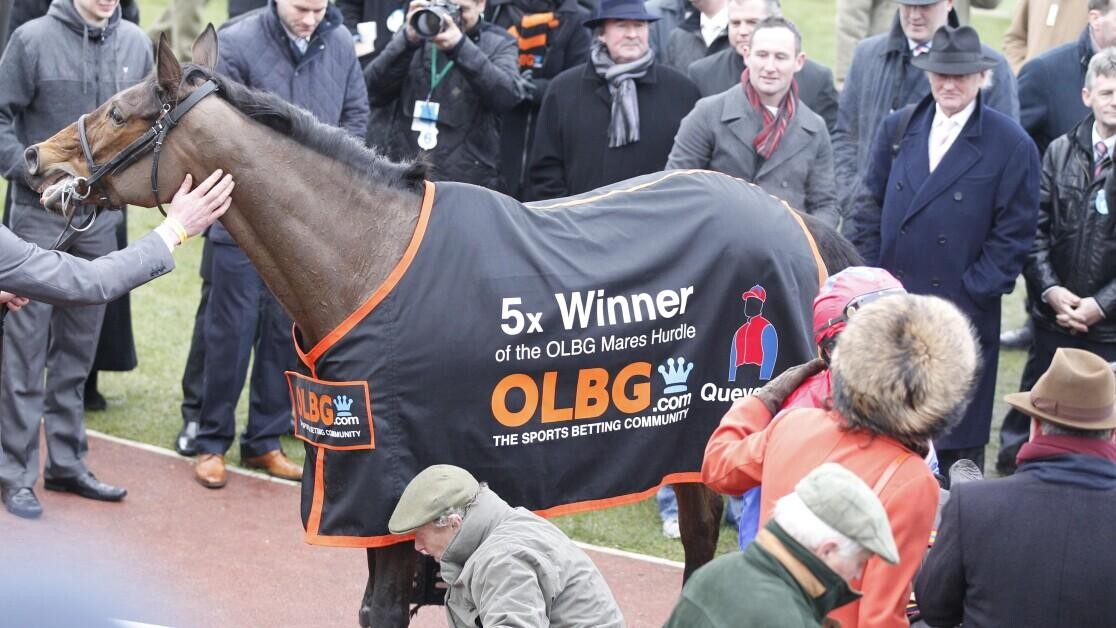 Close Brothers Mares Hurdle Preview, Tips, Runners & Trends (Cheltenham Festival) Close Brothers Mares Hurdle Preview, Tips, Runners & Trends (Cheltenham Festival)