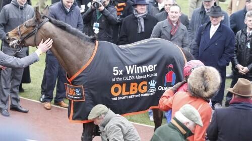 Close Brothers Mares Hurdle Preview, Tips, Runners & Trends (Cheltenham Festival)