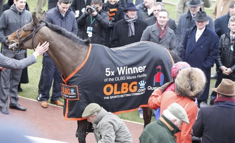 Close Brothers Mares Hurdle Preview, Tips, Runners & Trends (Cheltenham Festival)