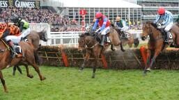 Sefton Novices Hurdle Preview, Tips, Runners & Trends (Grand National Meeting)