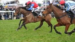 Nickel Coin Mares Bumper Preview, Tips, Runners & Trends (Grand National Meeting)