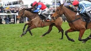 Albert Bartlett Novices Hurdle Preview, Tips, Runners & Trends (Cheltenham Festival)