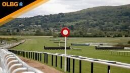 Pertemps Network Final Preview, Tips, Runners & Trends (Cheltenham Festival)