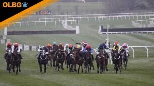 Mares Novices' Hurdle Preview, Tips, Runners & Trends (Cheltenham Festival)