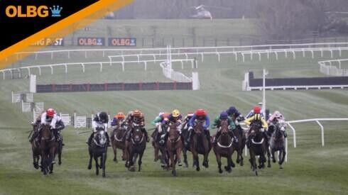 Triumph Hurdle Preview, Tips, Runners & Trends (Cheltenham Festival)