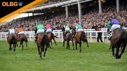 Champion Bumper Preview, Tips, Runners & Trends (Cheltenham Festival)