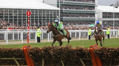 Scottish Champion Hurdle Preview, Tips, Runners & Trends