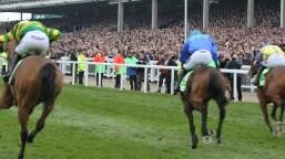 National Spirit Hurdle Preview, Tips, Runners & Trends