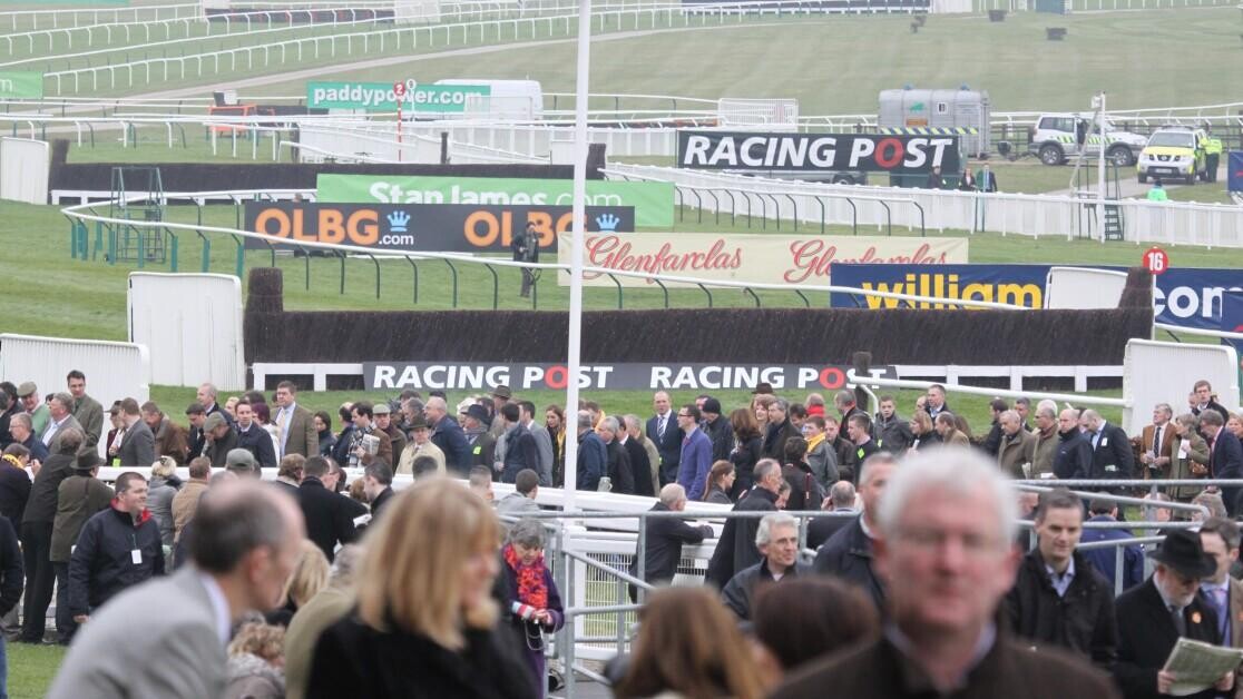 Cotswold Chase Preview, Tips, Runners & Trends (Festival Trials Day) Cotswold Chase Preview, Tips, Runners & Trends (Festival Trials Day)