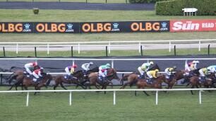 Queen Mother Champion Chase Preview, Tips, Runners & Trends (Cheltenham Festival)