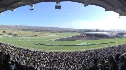 ๐ค Cheltenham Festival Return of Crowds | Mark Bowen (Equine Professor) Exclusive Interview on The Impact on Horses