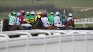 Novices Limited Handicap Chase Preview, Tips, Runners & Trends (Cheltenham Festival)