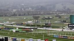 Cross Country Chase Preview, Tips, Runners & Trends (Cheltenham Festival)