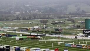 Cross Country Chase Preview, Tips, Runners & Trends (Cheltenham Festival)