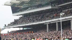 Supreme Novices Hurdle Preview, Tips, Runners & Trends (Cheltenham Festival)