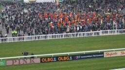 Champion Hurdle Preview, Tips, Runners & Trends (Cheltenham Festival)