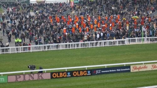 Cheltenham Festival - How To Secure The Best Value Bets
