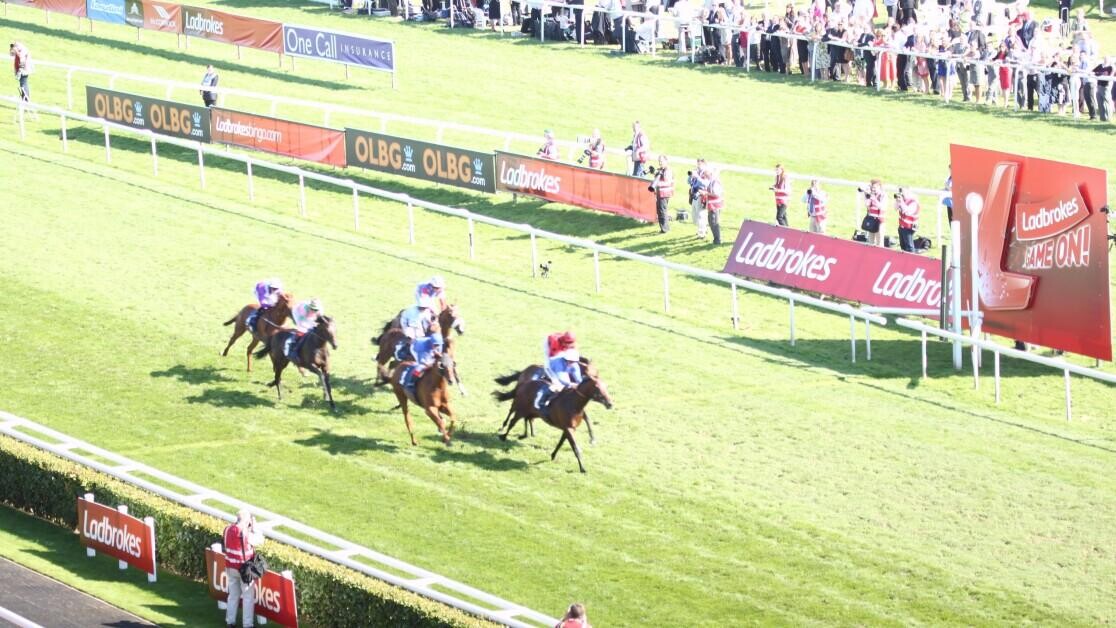 How To Secure The Best Value Bets During The Turf Flat Season How To Secure The Best Value Bets During The Turf Flat Season