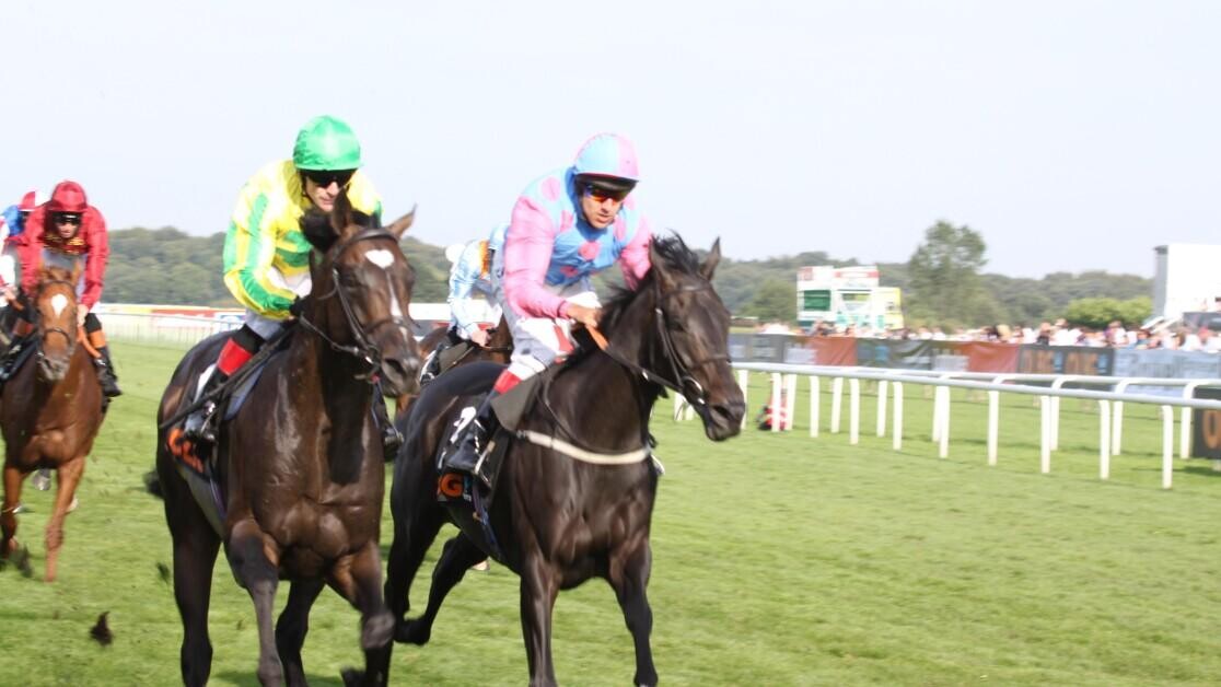 Horses For Courses - Part One Horses For Courses - Part One