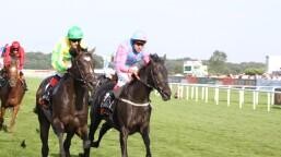 Horses For Courses - Part One