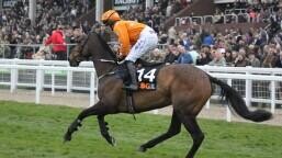 Triumph Hurdle Preview, Tips, Runners & Trends (Cheltenham Festival)