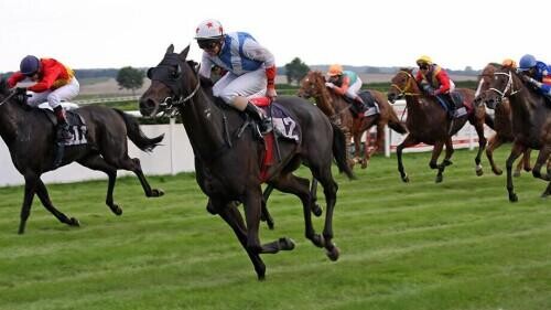 Ayr Gold Cup Preview, Tips, Runners & Trends