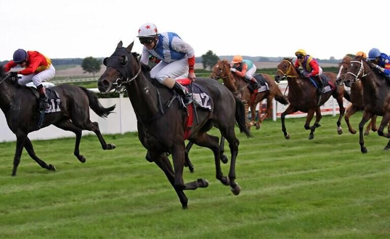 Stewards Cup Preview, Tips, Runners & Trends (Glorious Goodwood)