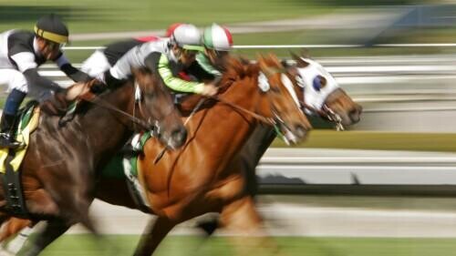 Profitable Horse Racing Betting System - Backing Value Selections In Multiple Bets
