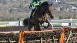 Tattersalls Ireland Novice Hurdle Preview, Tips, Runners & Trends (Dublin Racing Festival)