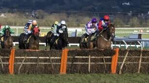 Laying Horse Racing Favourites On Betfair