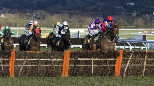 Laying Horse Racing Favourites On Betfair