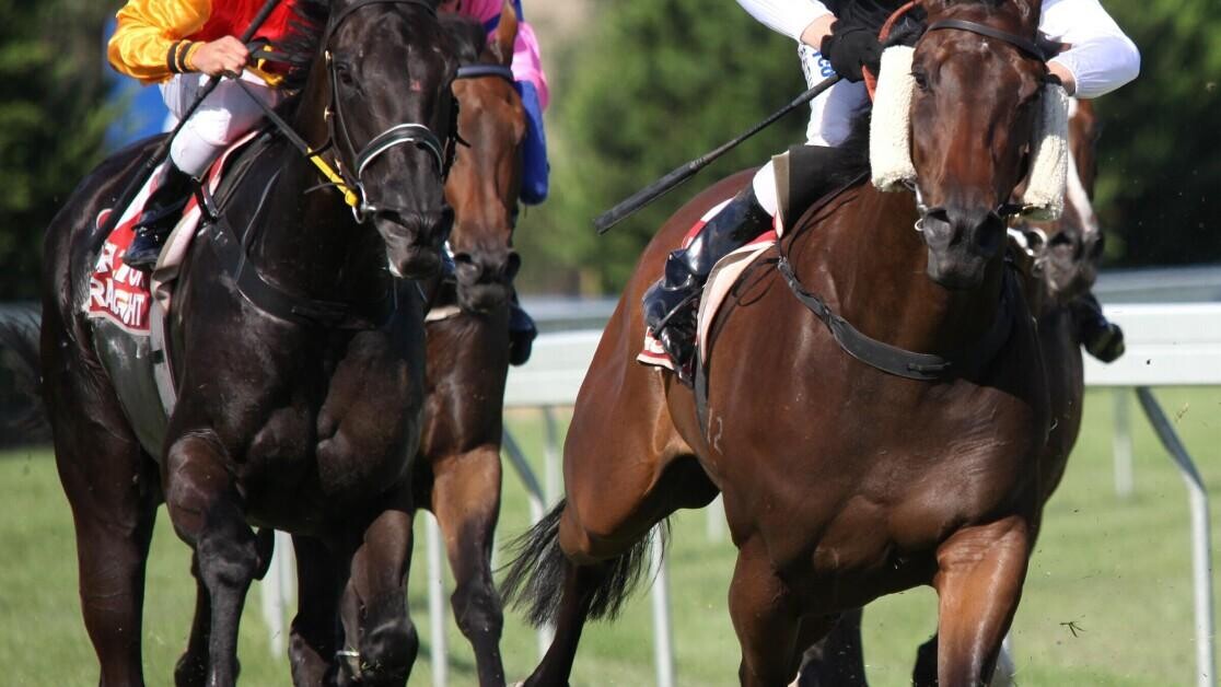 Huxley Stakes Preview, Tips, Runners & Trends (May Meeting) Huxley Stakes Preview, Tips, Runners & Trends (May Meeting)