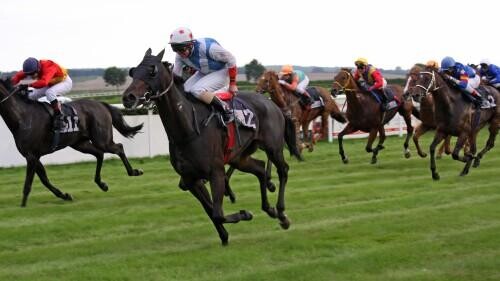 Profitable Horse Racing Betting System - Using The VALUE CALCULATOR To Assess Handicap Flat Races On Turf In The UK - September To October 2017, Plus End Of Season Review