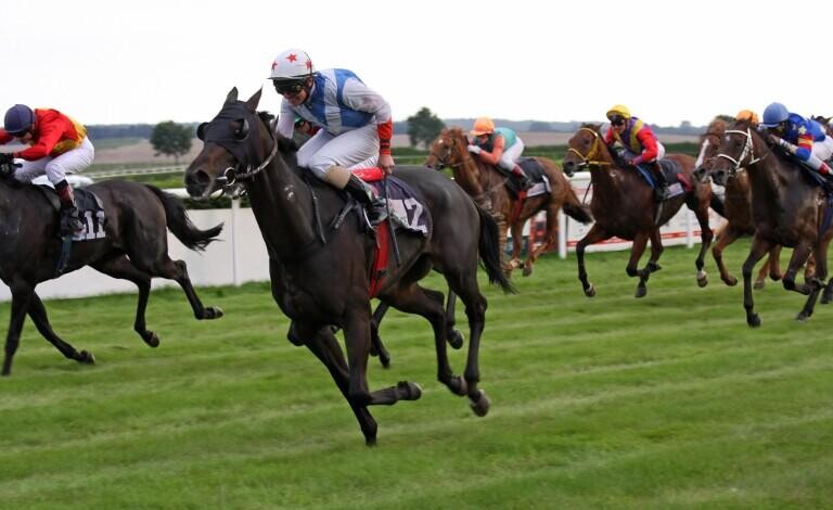Abernant Stakes Preview, Tips, Runners & Trends (Craven Meeting)