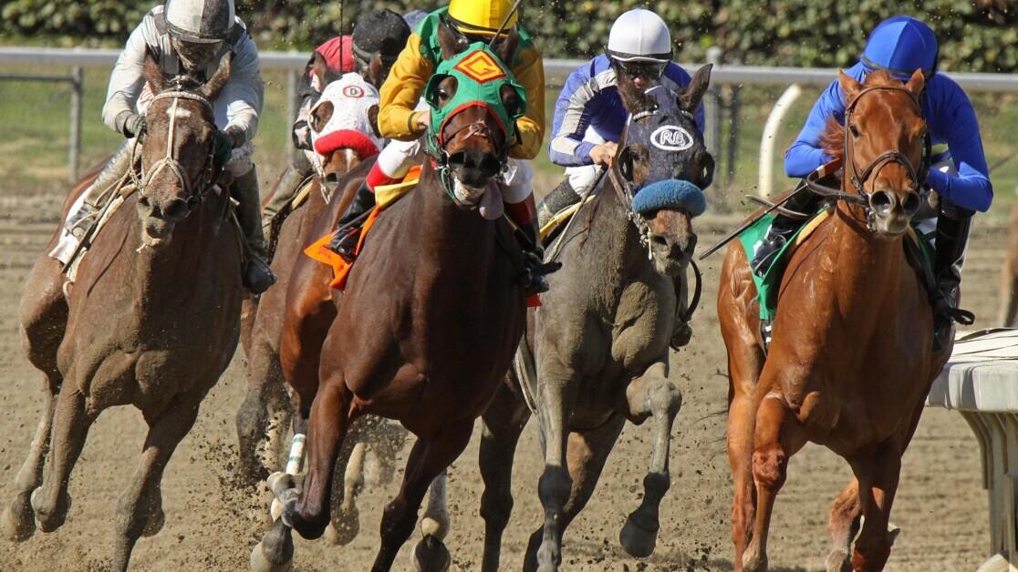 Lady Wulfruna Stakes Preview, Tips, Runners & Trends Lady Wulfruna Stakes Preview, Tips, Runners & Trends