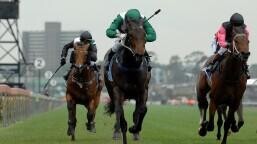 Grosser Preis von Berlin Preview, Tips, Runners & Trends