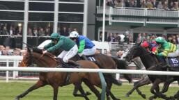 Thyestes Chase Preview, Tips, Runners & Trends