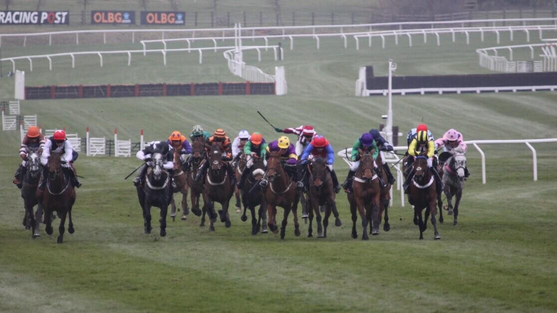 Mares Novices Hurdle Preview, Tips, Runners & Trends (Cheltenham Festival) Mares Novices Hurdle Preview, Tips, Runners & Trends (Cheltenham Festival)