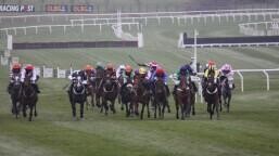Mares Novices Hurdle Preview, Tips, Runners & Trends (Cheltenham Festival)