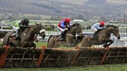 Liverpool Hurdle Preview, Tips, Runners & Trends (Grand National Meeting)